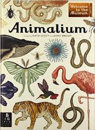 Animalium Muzeum Zwierz�t    tekst: Jenny Broom