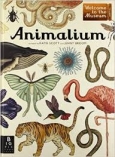 Animalium Muzeum Zwierz�t    tekst: Jenny Broom
